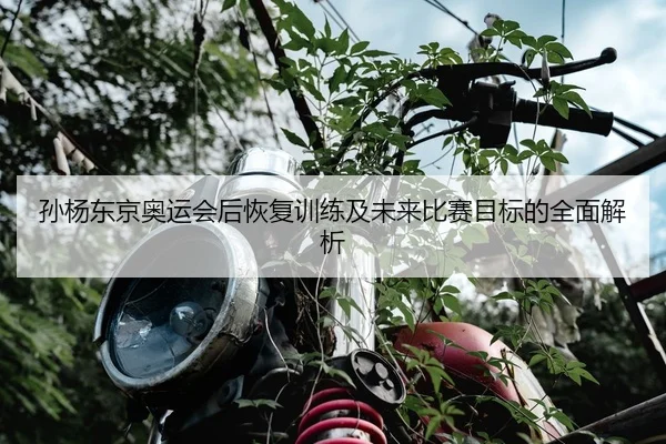 孙杨东京奥运会后恢复训练及未来比赛目标的全面解析